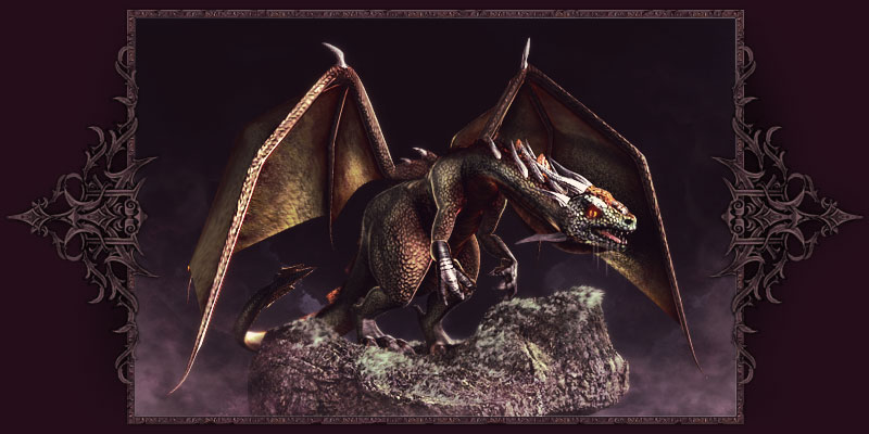 Schwarzer Drache Schwarzer Drache